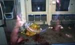 Cảnh sát Đức bắn chết kẻ dùng rìu tấn công hành khách trên tàu