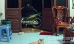 Clip: Nam thanh niên vào nhà dắt trộm xe máy trước mặt bé gái