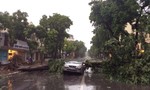 Nhiều cây lớn đổ ngáng đường, đè ô tô ở Hà Nội