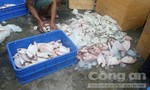Gần một tấn cá hôi thối tại quán cơm Gia Long