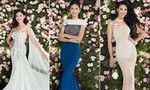 Ai sẽ đăng quang ngôi vị Hoa hậu Việt Nam 2016 đêm nay?