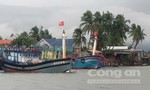 Các tàu cá ngư dân Quảng Nam đang vào trú ẩn