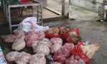 Bắt xe khách chở thịt heo thối bỏ mối quán ăn ở Sài Gòn