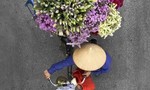 Ngắm gánh hàng hoa ở Hà Nội dịp Tết