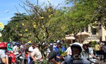 Chợ hoa Phan Thiết nhộn nhịp trong ngày 30 Tết