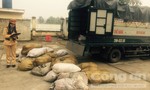 CSGT bắt vụ vận chuyển hơn 2 tấn bì heo thối