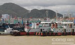 Chủ tịch UBND tỉnh Bình Định yêu cầu làm rõ nguyên nhân nhiều tàu hàng bị chìm