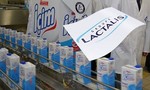 Thêm 3 lô sữa của Pháp có nguy cơ nhiễm khuẩn gây ngộ độc thực phẩm