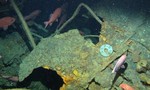 Úc tìm thấy tàu ngầm mất tích sau 103 năm