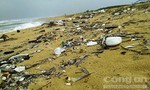 Quảng Nam: Dầu vón cục bám trên rác trôi dạt vào bờ biển