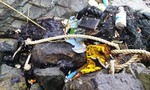 Dầu vón cục, rác thải lại tràn vào bờ biển Quảng Nam