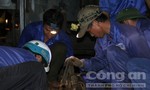 Vụ tai nạn 3 người tử vong tại Huế: Hoàn tất sửa chữa để thông tuyến đường sắt