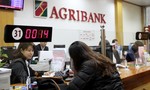 Agribank: Tạo nền tảng vững chắc cho giai đoạn phát triển mới