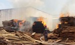Bình Định: Cháy dữ dội tại doanh nghiệp chế biến gỗ