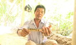 Người dân cù lao bắt được lươn rằn ri kỳ lạ