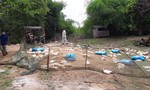 Nguy cơ bùng phát dịch cúm H5N1 tại huyện Ea Súp do đàn vịt chạy đồng