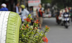 Thích thú khi thùng rác cũng 'nở hoa' khoe sắc giữa trung tâm Sài Gòn