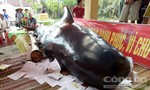 Ngư dân làm lễ an táng cá voi khoảng 800kg