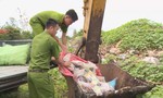 Đắk Lắk tiêu hủy 160 kg thuốc Ama Công giả