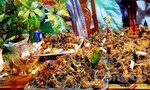 Khoảng 200kg Sâm Ngọc Linh được bán trong lễ hội lần thứ I