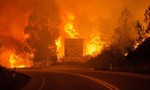 Cháy rừng ở Bồ Đào Nha làm 62 người chết