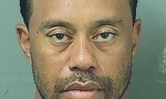 Tiger Woods lại chìm trong bê bối sau khi bị cảnh sát bắt