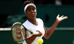 Venus Williams dính líu đến tai nạn xe cộ chết người