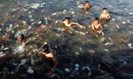 Châu Á hứa hẹn làm giảm ô nhiễm đại dương