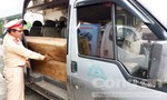 Đội CSGT số 2 phát hiện xe ô tô chở gỗ lậu