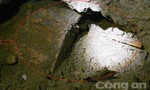 Đắk Lắk: Phát hiện nhiều hộp đạn dưới nền nhà