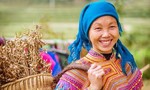 Những bức ảnh ‘nụ cười Việt Nam’ rạng rỡ trên khắp nẻo đường