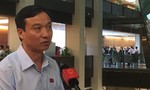 Đại biểu Quốc hội nêu ý kiến về việc Trịnh Xuân Thanh ra đầu thú