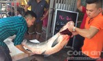 Cá trắm khủng gần 50kg được đưa từ Yên Bái về Hà Nội