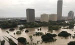 Siêu bão Harvey biến nhấn chìm Houston trong biển nước