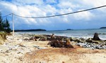 Xây dựng, sửa chữa kè chống sạt lở biển ở xã đảo Tam Hải
