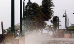 Siêu bão Maria hùng hục quét qua vùng Caribe