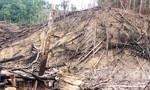 Thủ tướng Nguyễn Xuân Phúc yêu cầu, điều tra làm rõ vụ phá rừng phòng hộ Tiên Lãnh