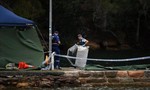 Rơi máy bay tại Sydney khiến 6 người thiệt mạng