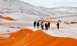Chuyện hi hữu:  Tuyết rơi ngập hoang mạc Sahara