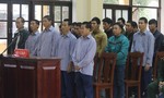 Xét xử 21 bị cáo trong vụ phá rừng pơmu chấn động ở Quảng Nam