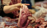 Nhiều mẫu thịt heo, bò, gà ở Sài Gòn bị nhiễm vi khuẩn gây tiêu chảy