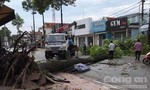 Mưa gió “càn quét” trung tâm huyện Trảng Bom, thiệt hại lớn về tài sản