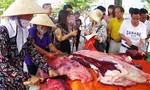 Hơn 40 người nhập viện do ăn thịt trâu mua ngoài chợ