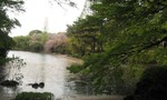 Bảo vệ công viên ở Nhật hơn 2 năm không thu vé vì kém... tiếng Anh