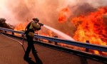 Cháy rừng trên diện rộng ở California, 44 người thiệt mạng