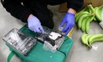 160 kg cocain trị giá 21 triệu USD giấu trong thùng chuối