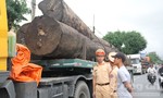 Chặn 4 xe container chở hàng chục cây gỗ trên QL1A