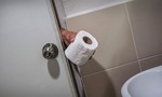 Cụ ông U60 bị phạt gần 2.000 USD vì trộm giấy vệ sinh trong toilet