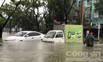 Cơn "đại hồng thủy" quét qua Đà Nẵng, nhiều ô tô chìm trong biển nước