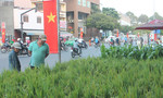 Người Sài Gòn mua cây lúa, cây ngô về nhà đón Tết